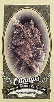 2009-10 Upper Deck Champ's #444 Pachycephalosauridae Front