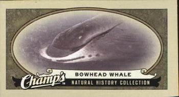2009-10 Upper Deck Champ's #478 Bowhead Whale Front