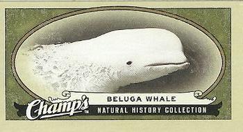 2009-10 Upper Deck Champ's #480 Beluga Whale Front