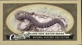 2009-10 Upper Deck Champ's #488 Lake Erie Water Snake Front