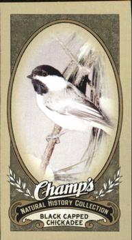 2009-10 Upper Deck Champ's #496 Black Capped Chickadee Front