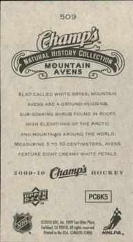 2009-10 Upper Deck Champ's #509 Mountain Avens Back