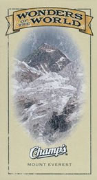 2009-10 Upper Deck Champ's #406 Mount Everest Front