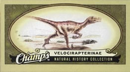 2009-10 Upper Deck Champ's #441 Velocirapterinae Front
