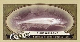 2009-10 Upper Deck Champ's #467 Blue Walleye Front