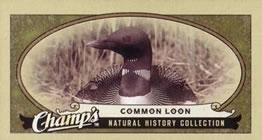 2009-10 Upper Deck Champ's #490 Common Loon Front