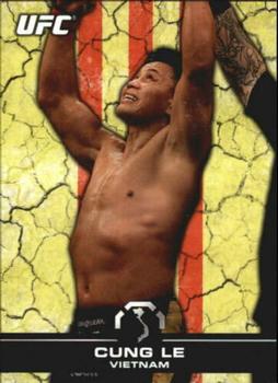 2013 Topps UFC Bloodlines - Flag Parallel #116 Cung Le Front