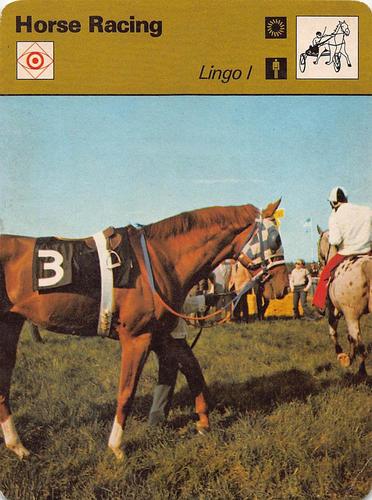 1977-79 Sportscaster Series 29 #29-04 Lingo I Front