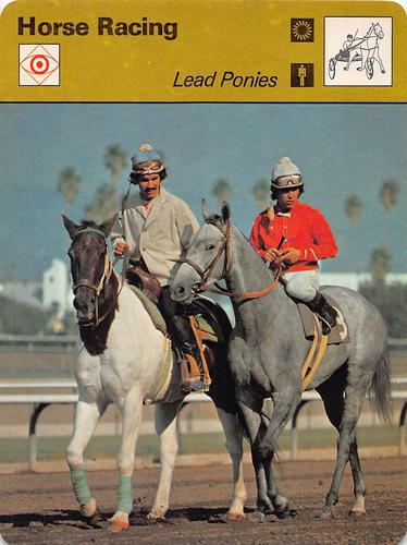 1977-79 Sportscaster Series 55 #55-06 Lead Ponies Front