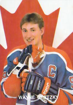 1990 Sport Cards Superstar #1 (unlicensed) #19 Wayne Gretzky Front