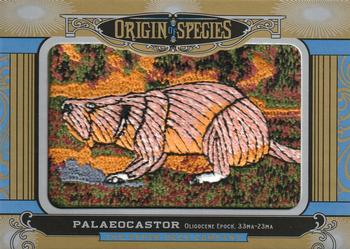 2016 Upper Deck Goodwin Champions - Origin of Species Manufactured Patches #OS211 Palaeocastor Front