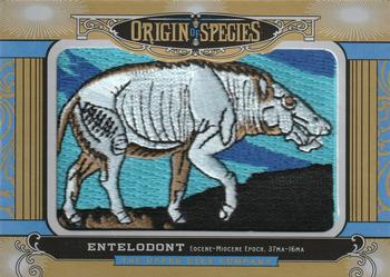 2016 Upper Deck Goodwin Champions - Origin of Species Manufactured Patches #OS243 Entelodont Front