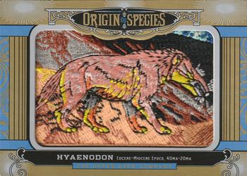 2016 Upper Deck Goodwin Champions - Origin of Species Manufactured Patches #OS245 Hyaenodon Front
