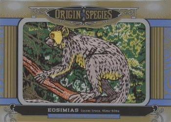 2016 Upper Deck Goodwin Champions - Origin of Species Manufactured Patches #OS291 Eosimias Front