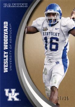 2016 Panini Kentucky Wildcats - Kentucky Gold #26 Wesley Woodyard Front