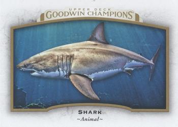 2017 Upper Deck Goodwin Champions #74 Shark Front
