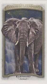 2017 Upper Deck Goodwin Champions - Canvas Minis #17 Elephant Front