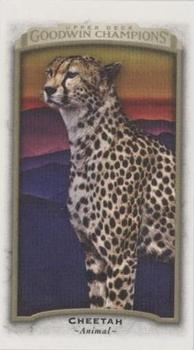 2017 Upper Deck Goodwin Champions - Canvas Minis #75 Cheetah Front