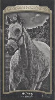 2017 Upper Deck Goodwin Champions - Canvas Minis #113 Horse Front