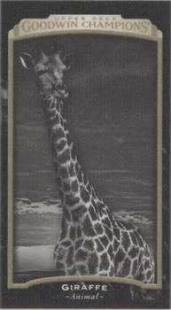 2017 Upper Deck Goodwin Champions - Canvas Minis #118 Giraffe Front
