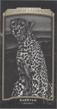 2017 Upper Deck Goodwin Champions - Canvas Minis #125 Cheetah Front