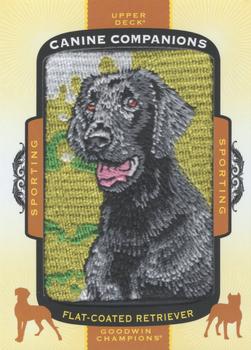 2017 Upper Deck Goodwin Champions - Canine Companion Manufactured Patch #CC19 Flat-Coated Retriever Front