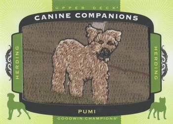 2017 Upper Deck Goodwin Champions - Canine Companion Manufactured Patch #CC73 Pumi Front