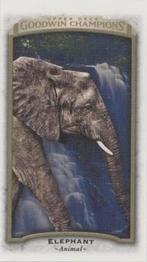 2017 Upper Deck Goodwin Champions - Blank Back Mini #NNO Elephant Front