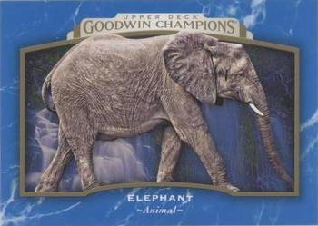 2017 Upper Deck Goodwin Champions - Royal Blue #67 Elephant Front