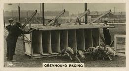 1927 Lambert & Butler The World of Sport #14 The Greyhounds Front