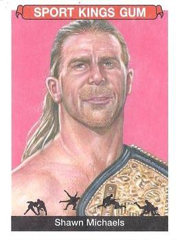 2018 Sportkings #25 Shawn Michaels Front
