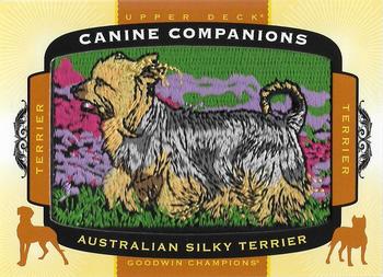 2018 Upper Deck Goodwin Champions - Canine Companions Manufactured Patch #CC104 Australian Silky Terrier Front