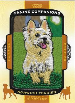 2018 Upper Deck Goodwin Champions - Canine Companions Manufactured Patch #CC126 Norwich Terrier Front