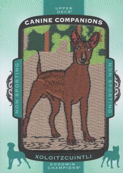 2018 Upper Deck Goodwin Champions - Canine Companions Manufactured Patch #CC187 Xoloitzcuintli Front