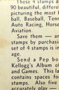 1937 Kellogg's Pep Sports Stamps #NNO Bill Tilden Back