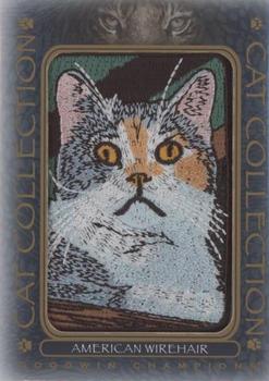2020 Upper Deck Goodwin Champions - Cat Collection Manufactured Patches #FC-19 American Wirehair Front