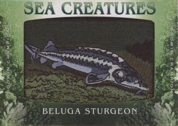 2020 Upper Deck Goodwin Champions - Sea Creatures Manufactured Patches #SC-23 Beluga Sturgeon Front