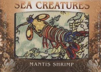 2020 Upper Deck Goodwin Champions - Sea Creatures Manufactured Patches #SC-46 Mantis Shrimp Front