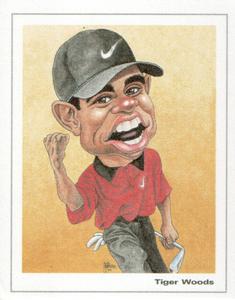 2005 All Inc. #13 Tiger Woods Front