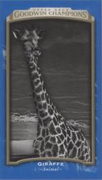 2017 Upper Deck Goodwin Champions - Royal Blue Minis #118 Giraffe Front