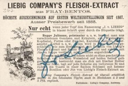 1895 Liebig Winter Sports I (German Text) (F463, S495) #NNO Sking Back