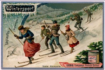 1895 Liebig Winter Sports I (German Text) (F463, S495) #NNO Sking Front