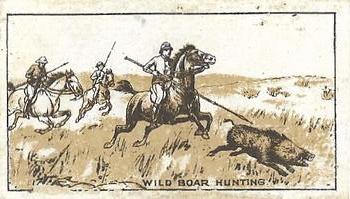 1916 MacRobertson's #3 Wild Boar Hunting Front