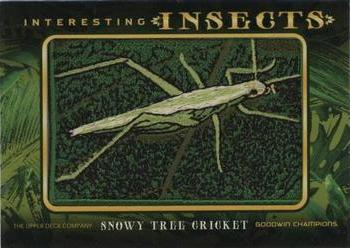 2022 Upper Deck Goodwin Champions - Interesting Insects Manufactured Patches #IP-15 Snowy Tree Cricket Front