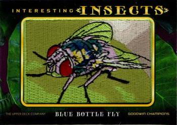2022 Upper Deck Goodwin Champions - Interesting Insects Manufactured Patches #IP-80 Blue Bottle Fly Front
