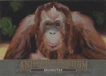 2022 Upper Deck Goodwin Champions - Animal Kingdom Masterpieces Original Art #GMAK-OR Orangutan Front