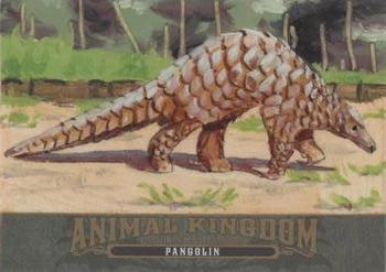 2022 Upper Deck Goodwin Champions - Animal Kingdom Masterpieces Original Art #GMAK-PA Pangolin Front