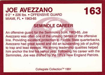1990-91 Collegiate Collection Florida State Seminoles #163 Joe Avezzano Back