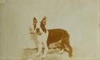 1948 Topps Magic Photos (R714-27) #6G Boston Terrier Front