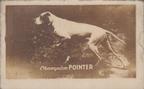 1948 Topps Magic Photos (R714-27) #12G Champion Pointer Front